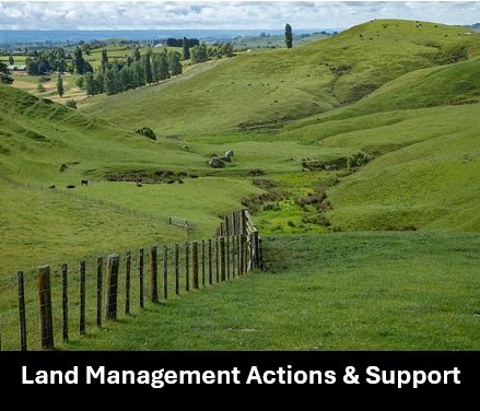 Land Managemnt Actions. Support R.Hub Tile E