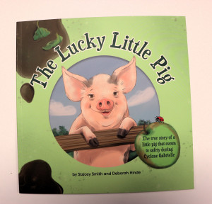 Piggy 02