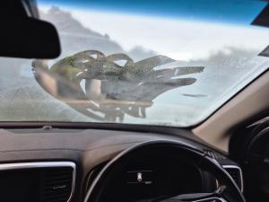 Winter driving 2026